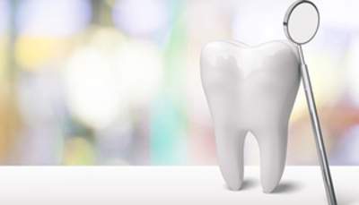 歯の模型と歯科用器具