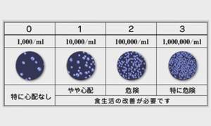 唾液1mlあたりのラクトバチラス菌の検査結果