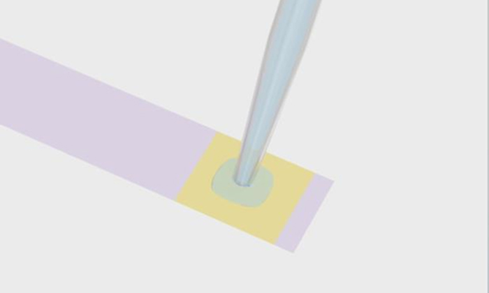 お口の中を酸性か中性に戻す唾液のテスト