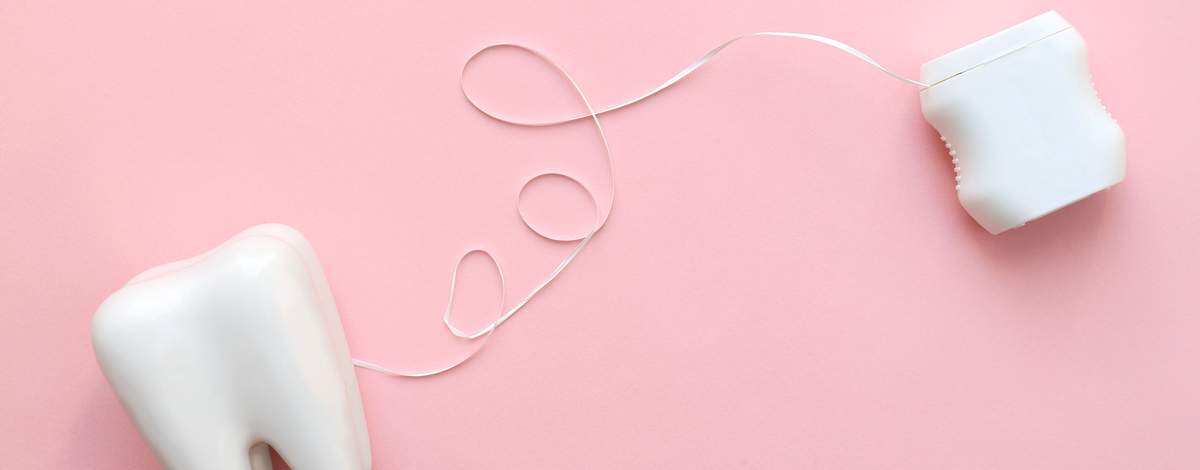 歯の模型とデンタルフロス