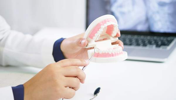 歯の模型と探針で治療説明をしている写真