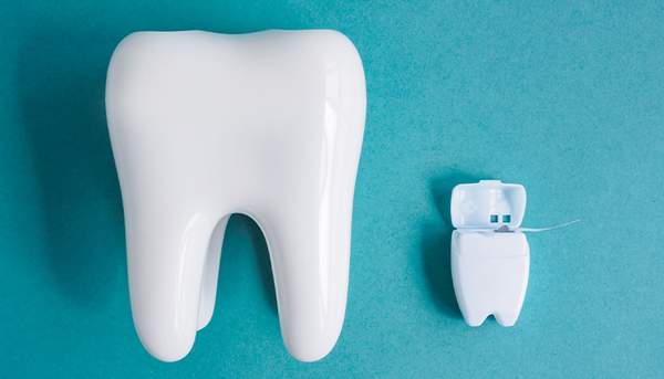 歯の模型とフロス