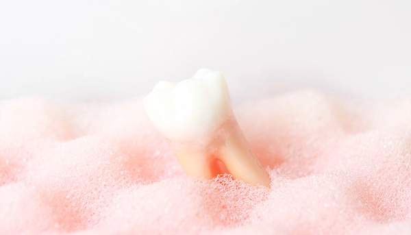 ピンク色で凹凸のあるスポンジの上に歯の模型が置いてあるイメージ