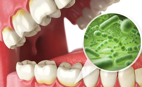 定期検診で歯のメインテナンスを行うことで歯の健康寿命が延びることをイメージした家族写真